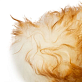 Мочалки, скребки, щётки для экстерьера MaxShine Lambswool Duster Перьевая метёлка для уборки пыли, фото 3, цена