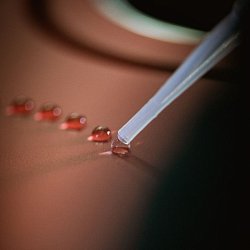 Labocosmetica Derma Sealant захисне покриття для шкіри фото 2